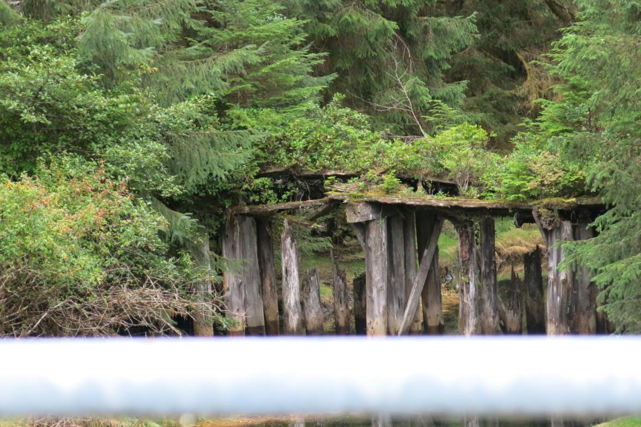 Vila A Shack In The Woods Port Renfrew Exteriér fotografie
