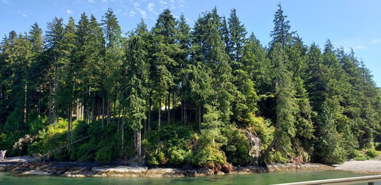 Vila A Shack In The Woods Port Renfrew Exteriér fotografie