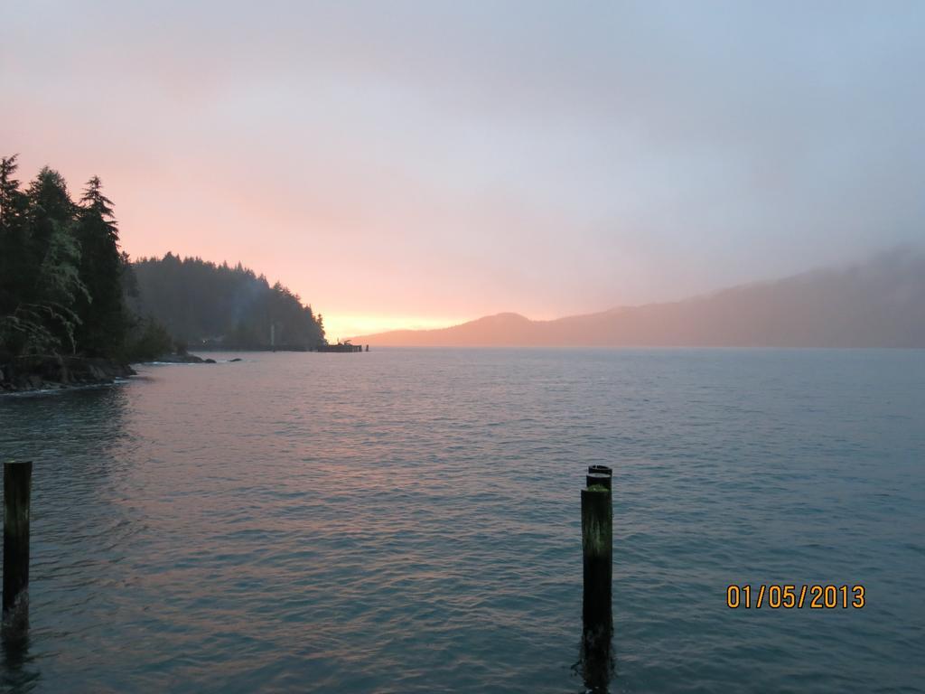 Vila A Shack In The Woods Port Renfrew Pokoj fotografie