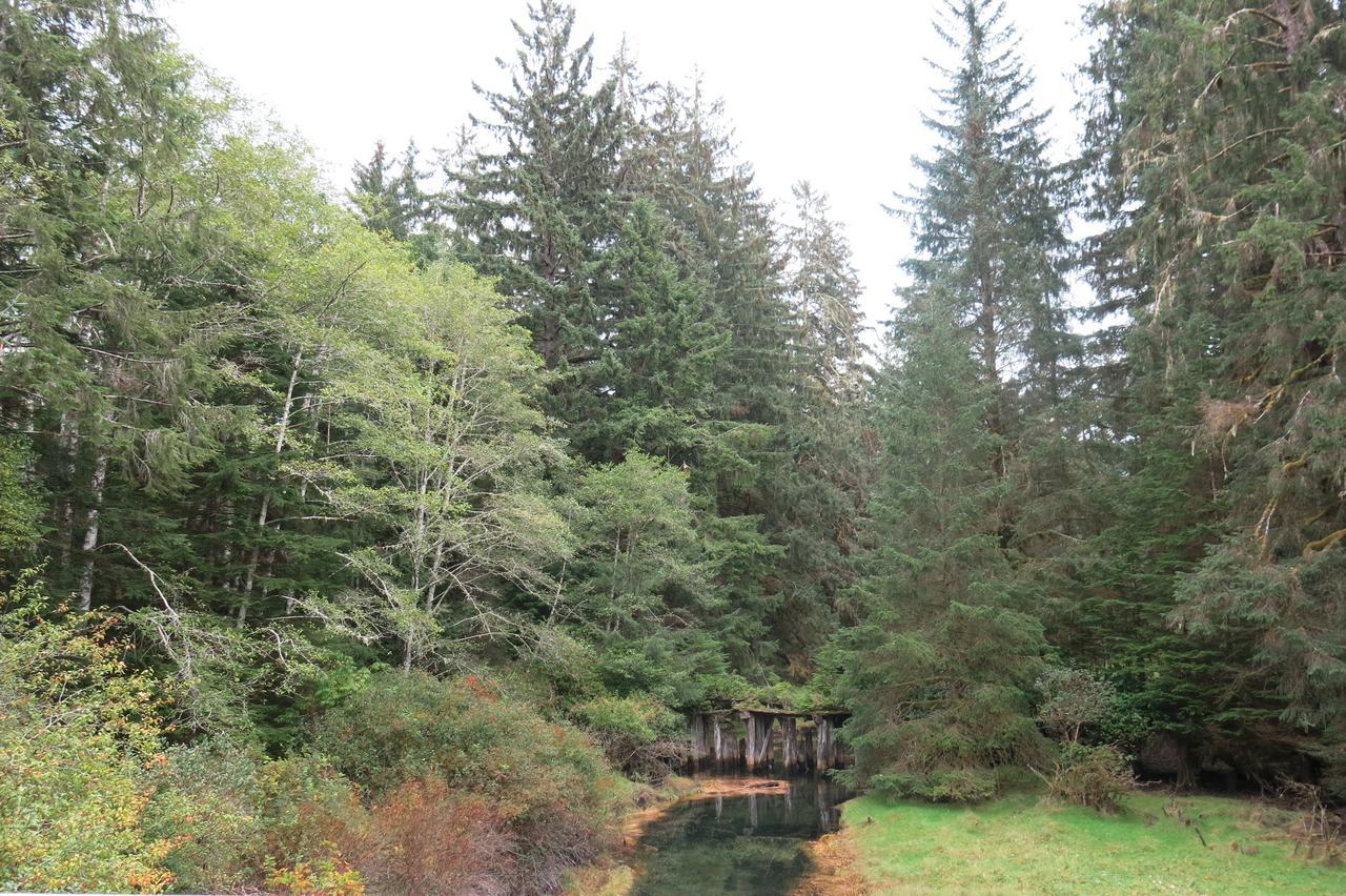Vila A Shack In The Woods Port Renfrew Exteriér fotografie